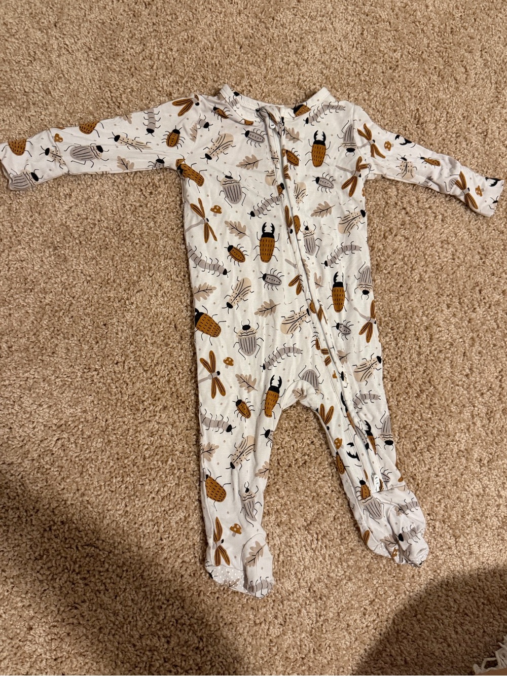 Caden Lane Insect Zippy